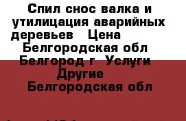 Спил снос валка и утилицация аварийных деревьев › Цена ­ 1 000 - Белгородская обл., Белгород г. Услуги » Другие   . Белгородская обл.